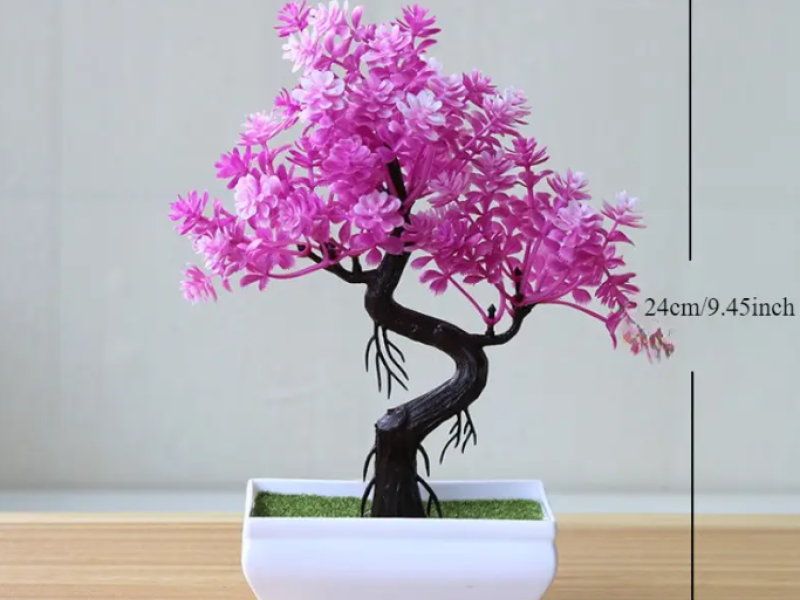 Bonsai Boom